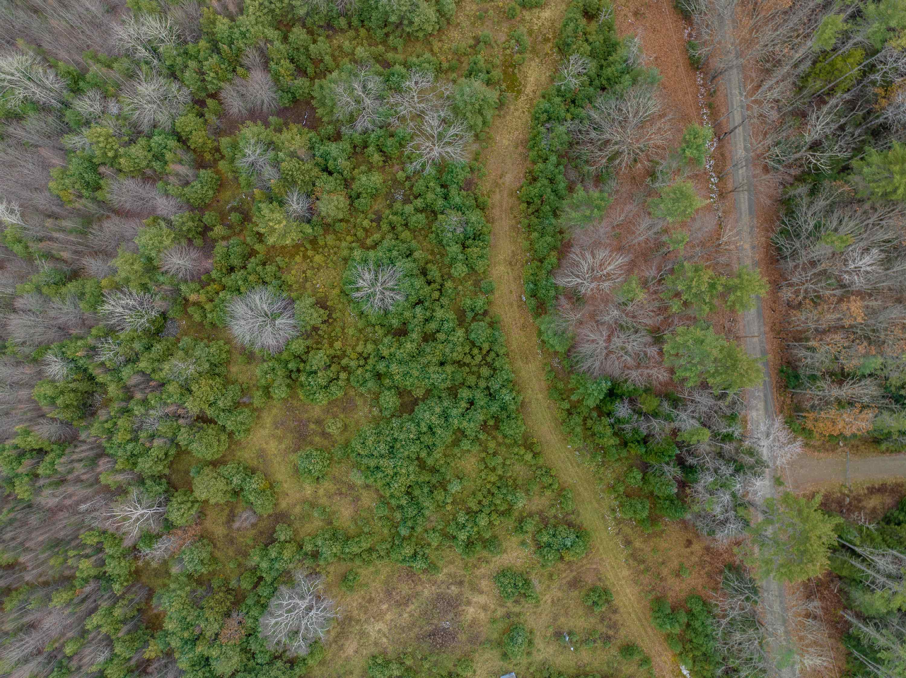 Lot 43 Gannon Road Littleton, NH 03561 - Photo 32 of 33