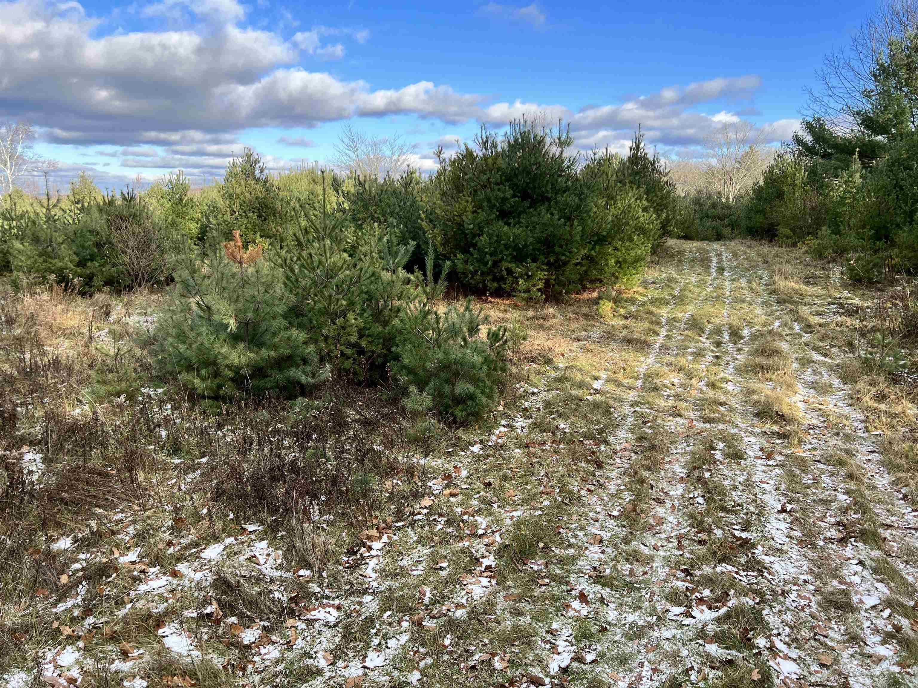Lot 43 Gannon Road Littleton, NH 03561 - Photo 8 of 33