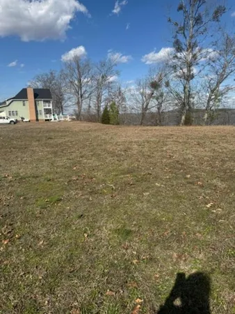 a view of open space with yard