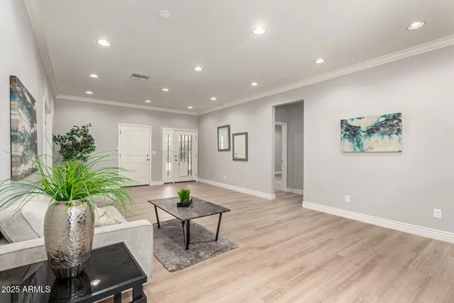 a living room with furniture and a potted plant
