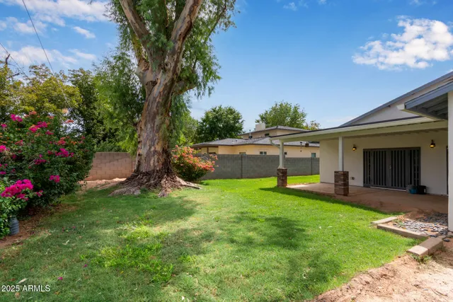 a view of a backyard with table and chairs and potted plants