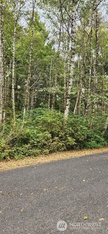 a view of a field with plants and trees