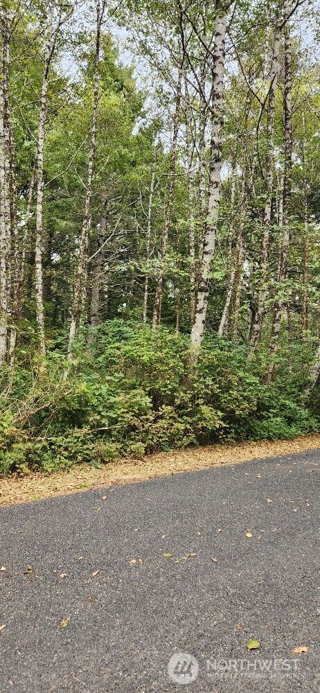 12 Chabot Road Copalis Beach, WA 98535 - Photo 11 of 18 a view of a yard with an outdoor space