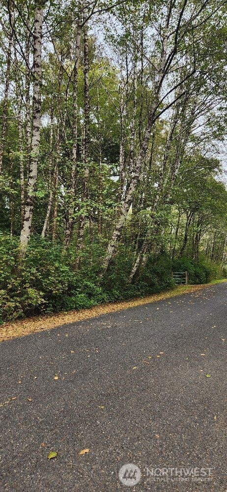 12 Chabot Road Copalis Beach, WA 98535 - Photo 12 of 18 a view of a field with plants and trees