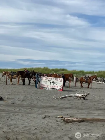 a bathroom with a shower and a shower