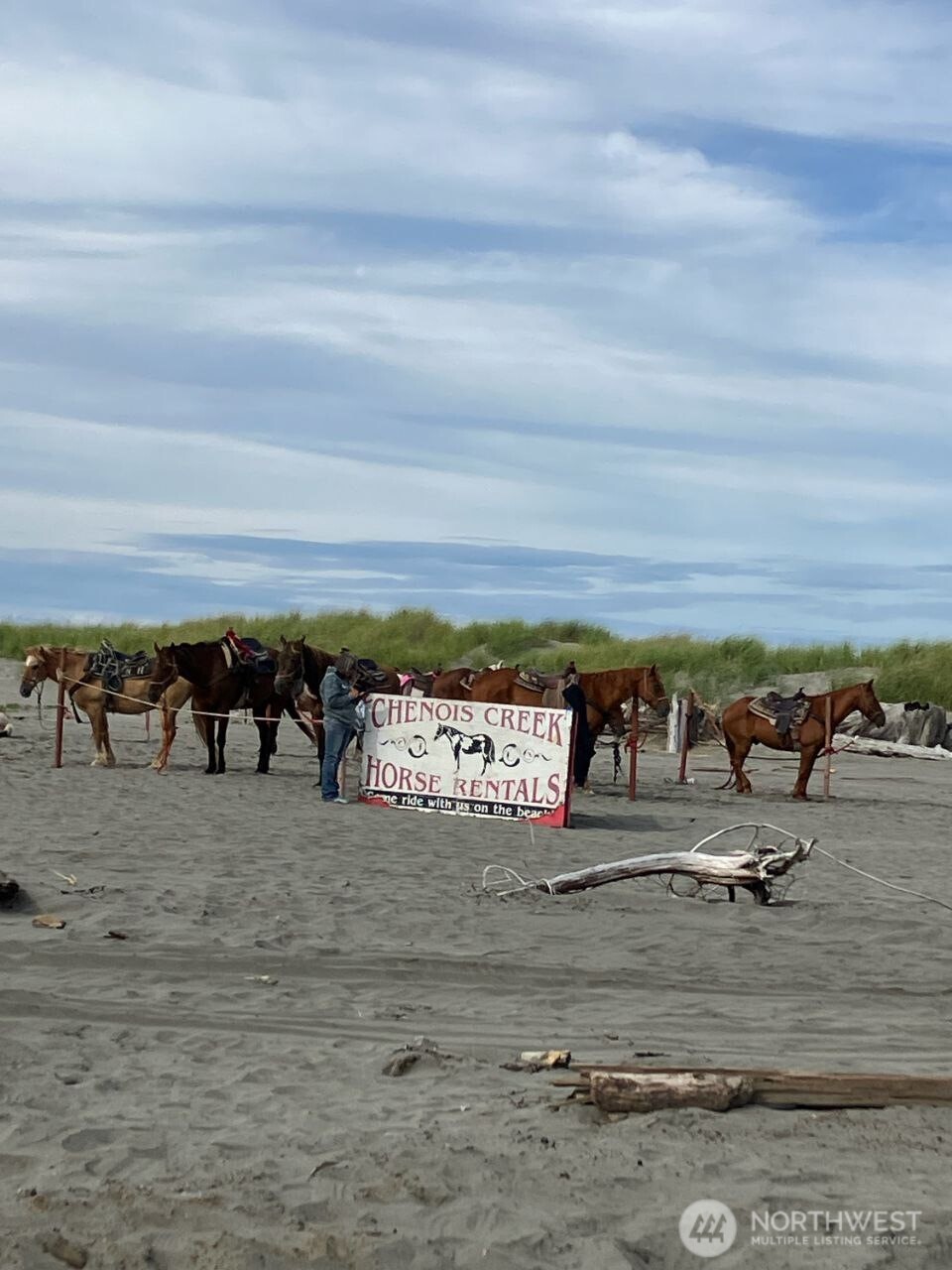 12 Chabot Road Copalis Beach, WA 98535 - Photo 8 of 18