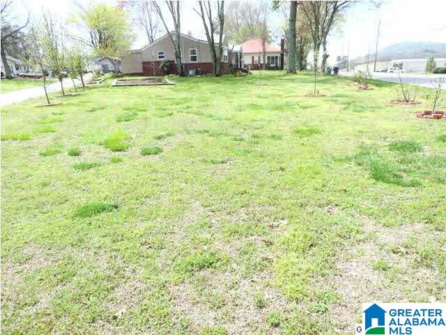 382 Valley Road Oneonta, AL 35121 - Photo 21 of 25