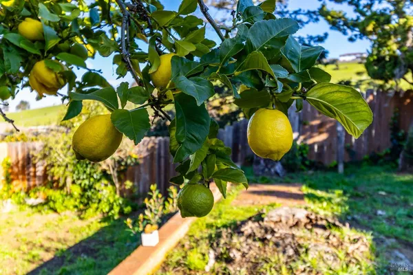 $675,000 | 112 Palomar Lane, Vallejo, CA 94591