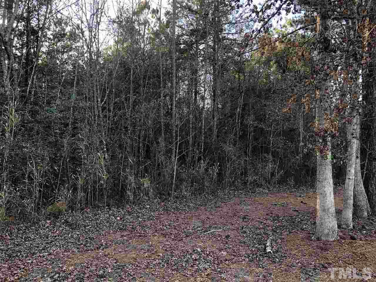 68 Archie Court Angier, NC 27501 - Photo 13 of 15 Gallery Image 13