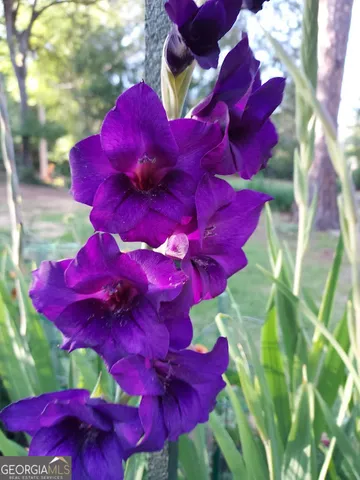 $320,000 | 2601 Ridgewood Lane, Albany, GA 31707