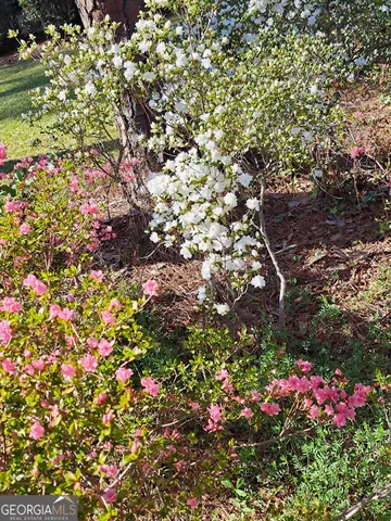 $320,000 | 2601 Ridgewood Lane, Albany, GA 31707