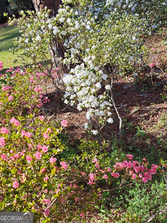 2601 Ridgewood Lane Albany, GA 31707 - Photo 49 of 57