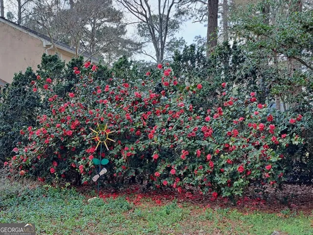 $320,000 | 2601 Ridgewood Lane, Albany, GA 31707