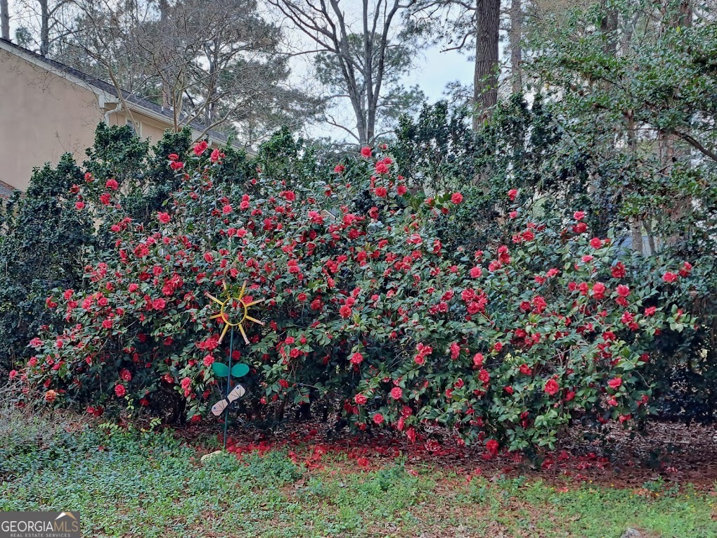 2601 Ridgewood Lane Albany, GA 31707 - Photo 51 of 57