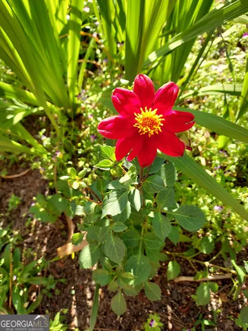 $320,000 | 2601 Ridgewood Lane, Albany, GA 31707