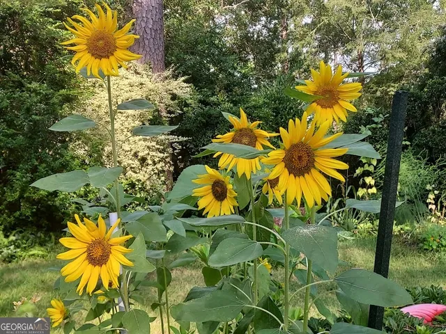 $320,000 | 2601 Ridgewood Lane, Albany, GA 31707