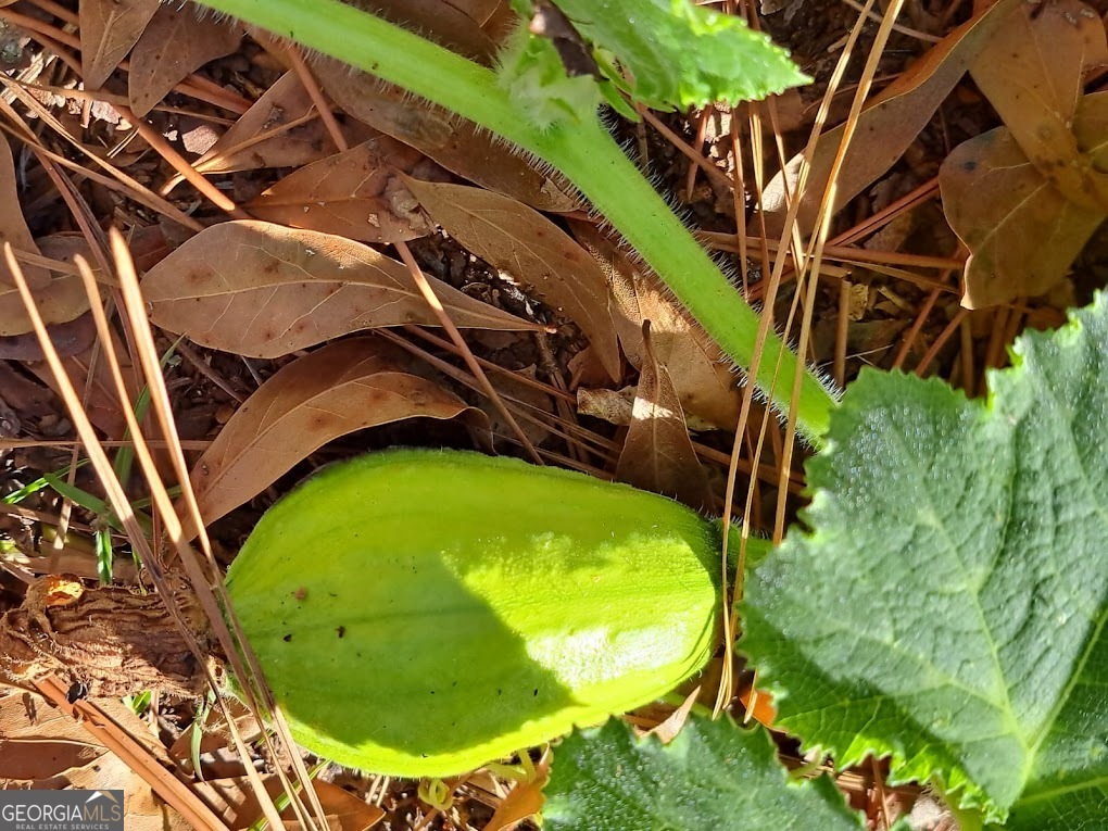 2601 Ridgewood Lane Albany, GA 31707 - Photo 56 of 57