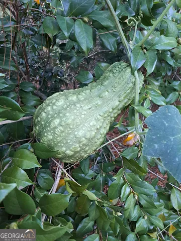 $320,000 | 2601 Ridgewood Lane, Albany, GA 31707