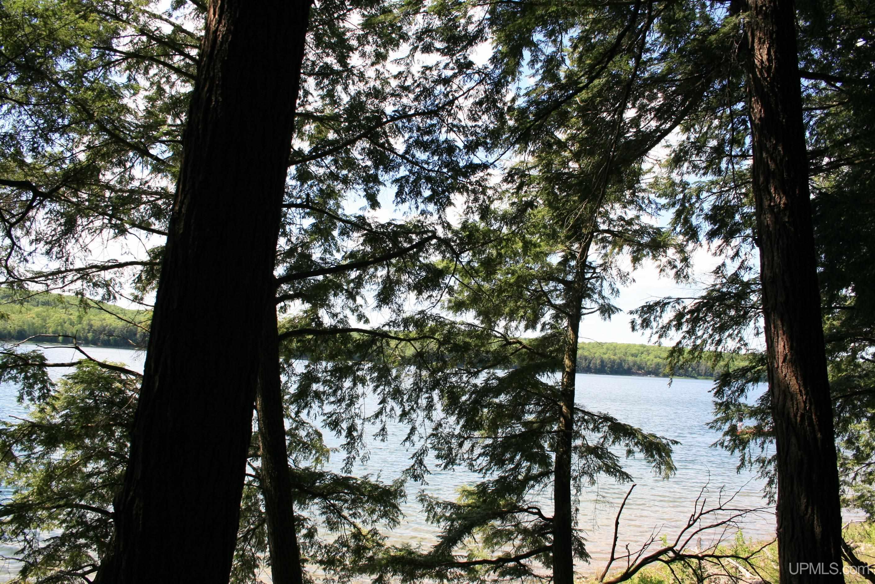Tbd Smoky Lake Road Iron River, MI 49935 - Photo 4 of 11