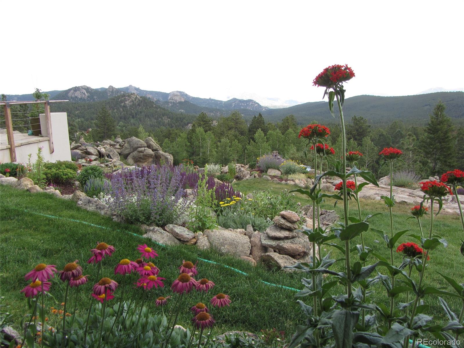 7500 Magnolia Road Nederland, CO 80466 - Photo 21 of 24 Gallery Image 21