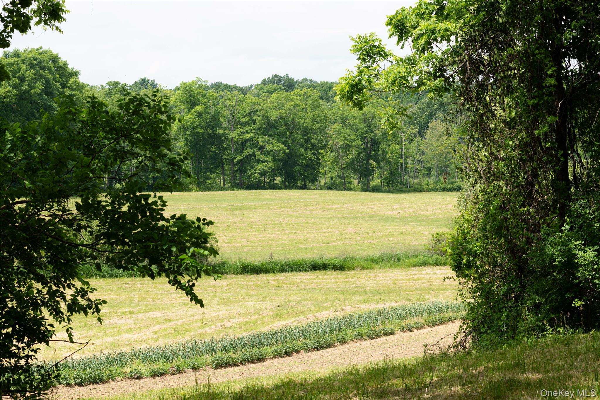 7115 Albany Post Road Rhinebeck, NY 12572 - Photo 13 of 29
