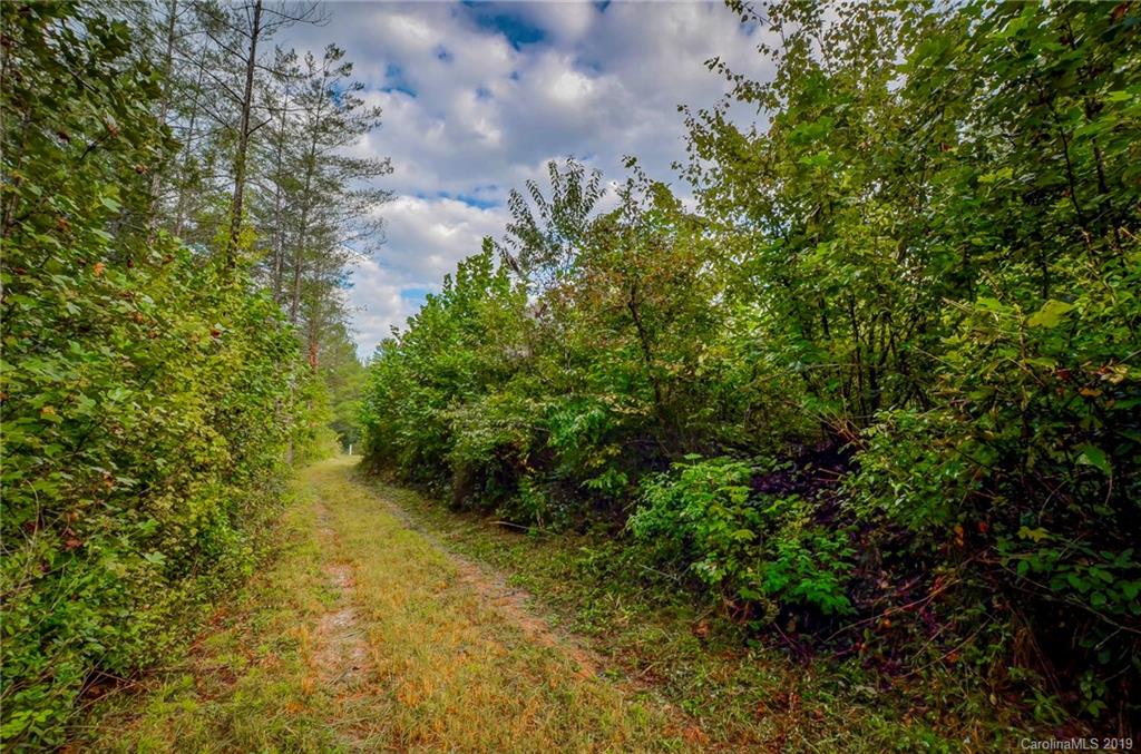 999 Rock Springs Rutherfordton, NC 28139 - Photo 3 of 34 Gallery Image 3