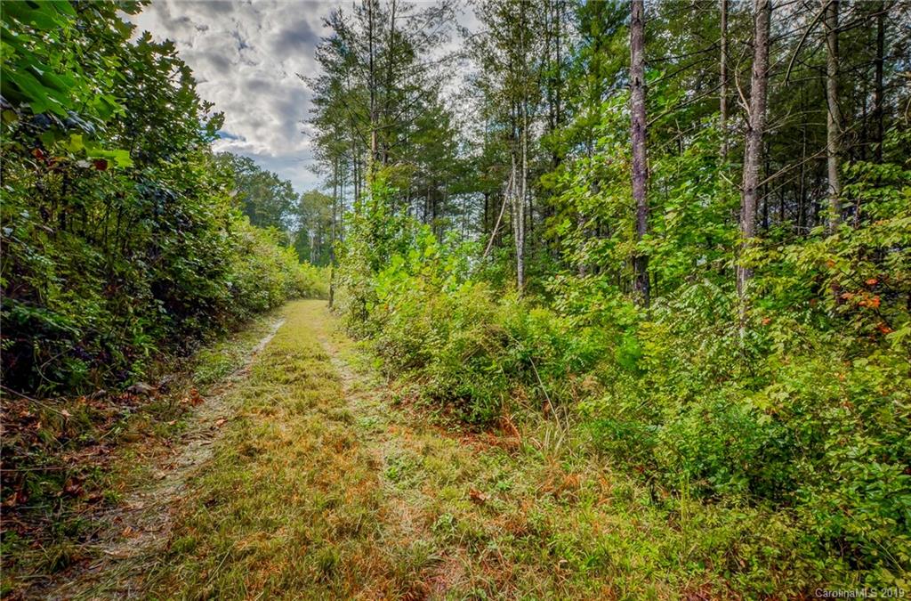 999 Rock Springs Rutherfordton, NC 28139 - Photo 28 of 34 Gallery Image 28