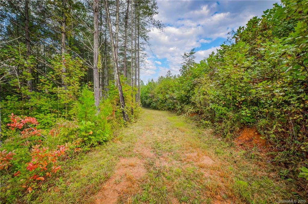999 Rock Springs Rutherfordton, NC 28139 - Photo 30 of 34 Gallery Image 30