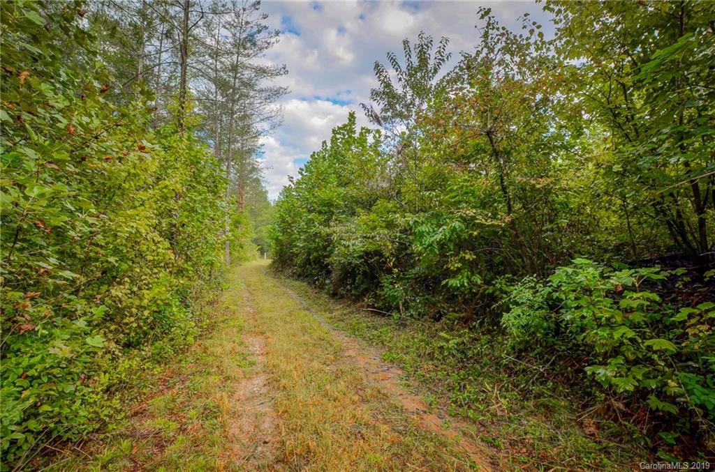 999 Rock Springs Rutherfordton, NC 28139 - Photo 4 of 34 Gallery Image 4