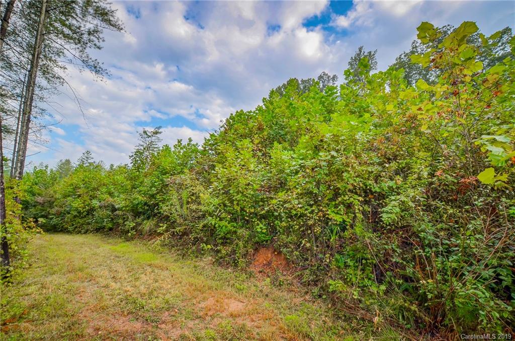 999 Rock Springs Rutherfordton, NC 28139 - Photo 31 of 34 Gallery Image 31