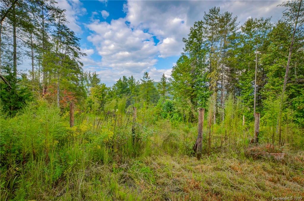 999 Rock Springs Rutherfordton, NC 28139 - Photo 33 of 34 Gallery Image 33