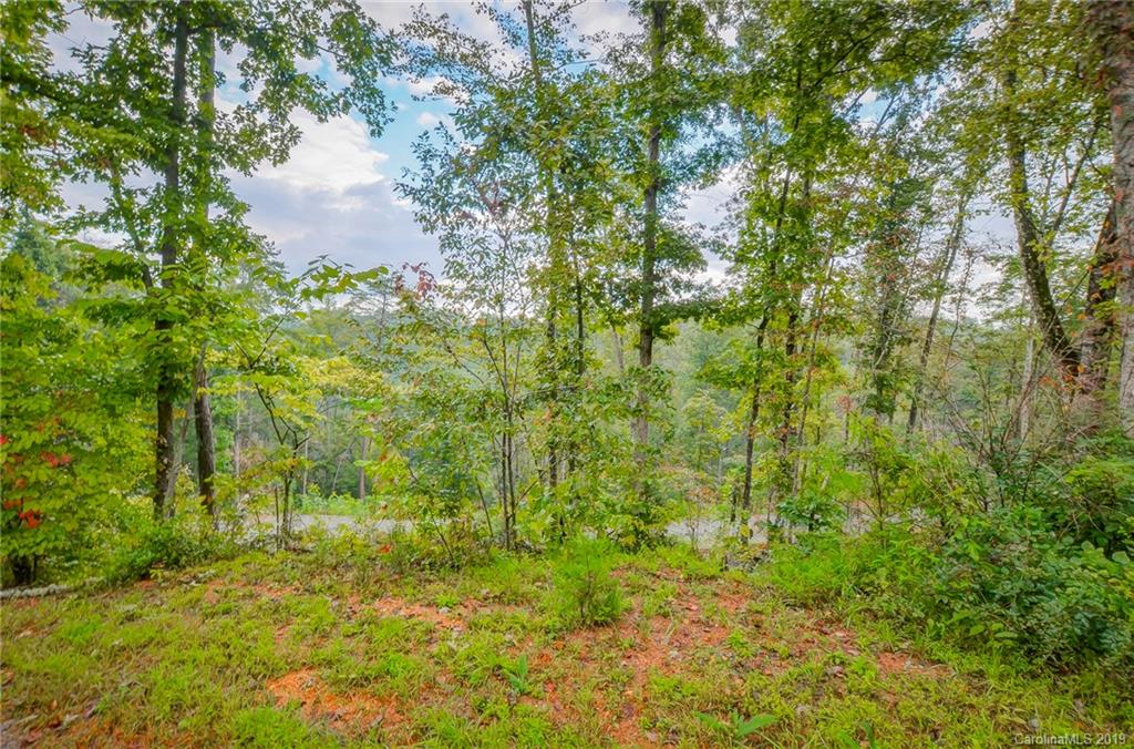 999 Rock Springs Rutherfordton, NC 28139 - Photo 7 of 34 Gallery Image 7