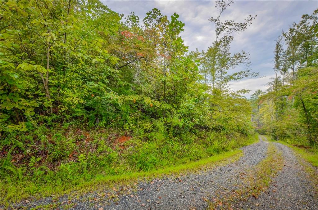 999 Rock Springs Rutherfordton, NC 28139 - Photo 8 of 34 Gallery Image 8