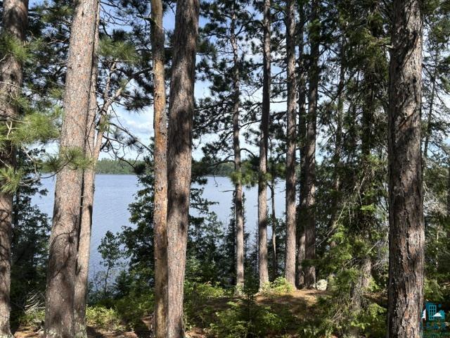 Tbd Tbd Powerhouse Trail Ely, MN 55731 - Photo 16 of 16