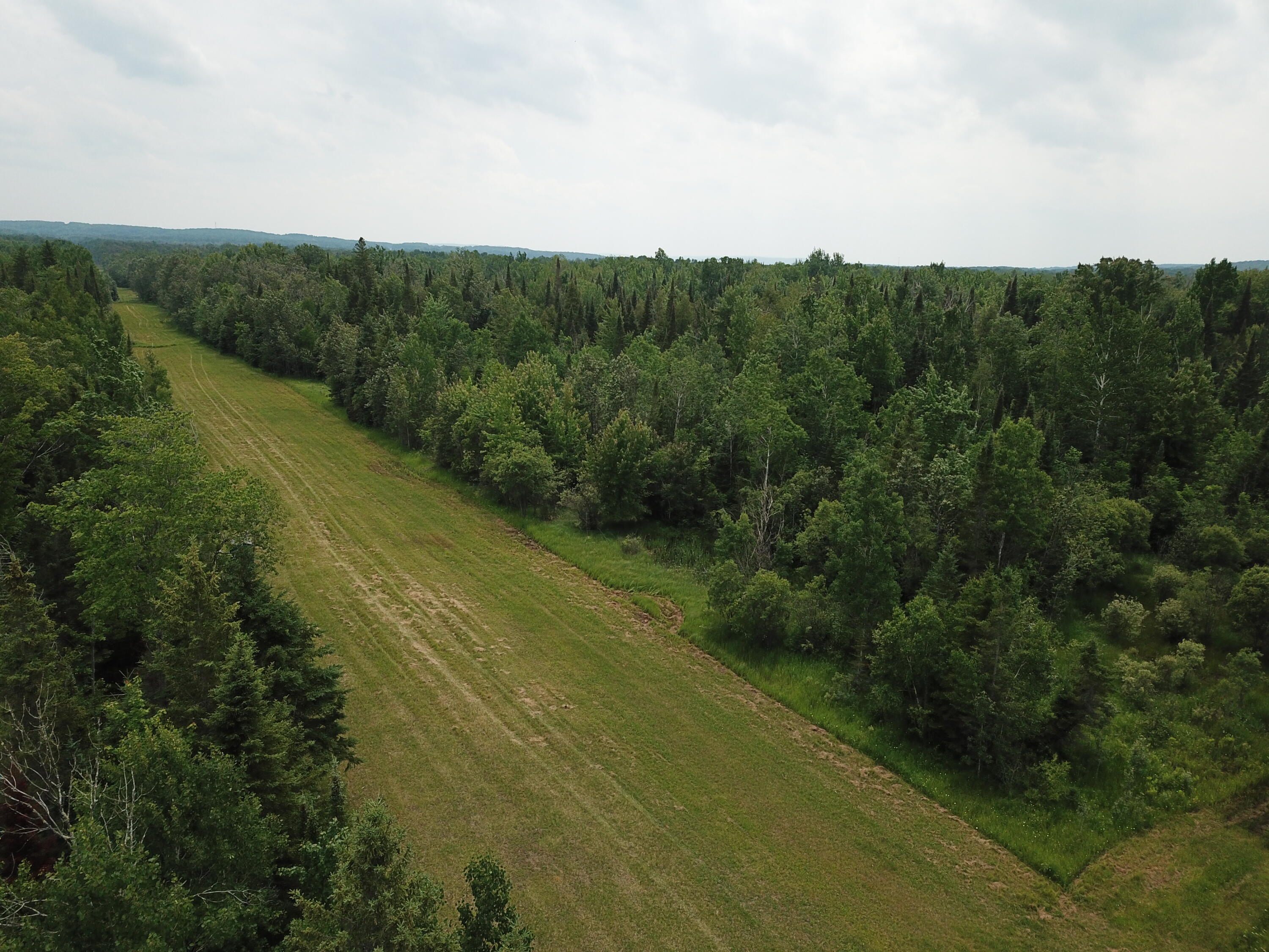 5030 Snider Road Brutus, MI 49716 - Photo 11 of 53 DJI_0007
