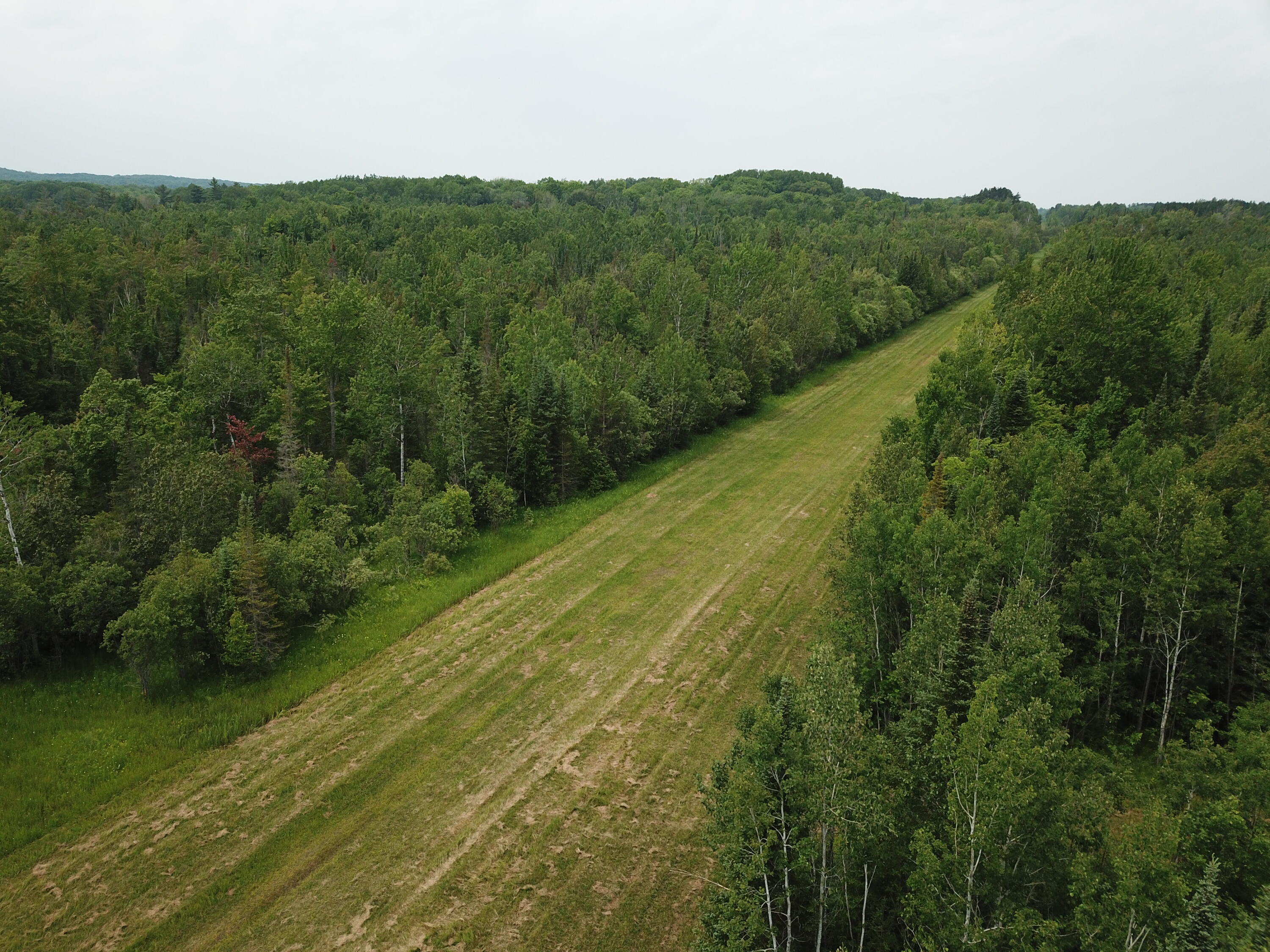 5030 Snider Road Brutus, MI 49716 - Photo 12 of 53 DJI_0008