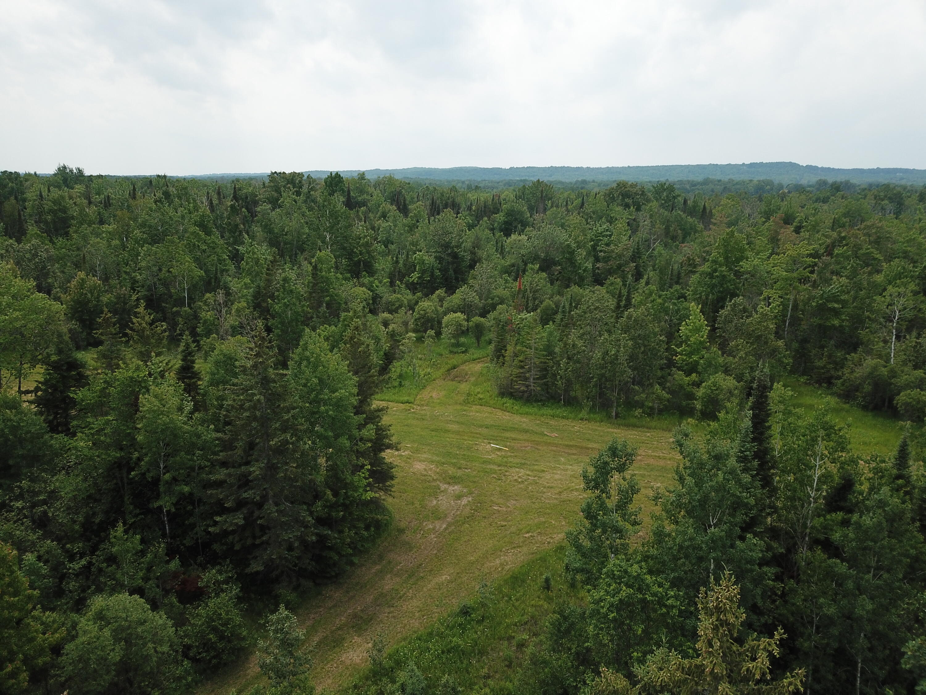 5030 Snider Road Brutus, MI 49716 - Photo 13 of 53 DJI_0006