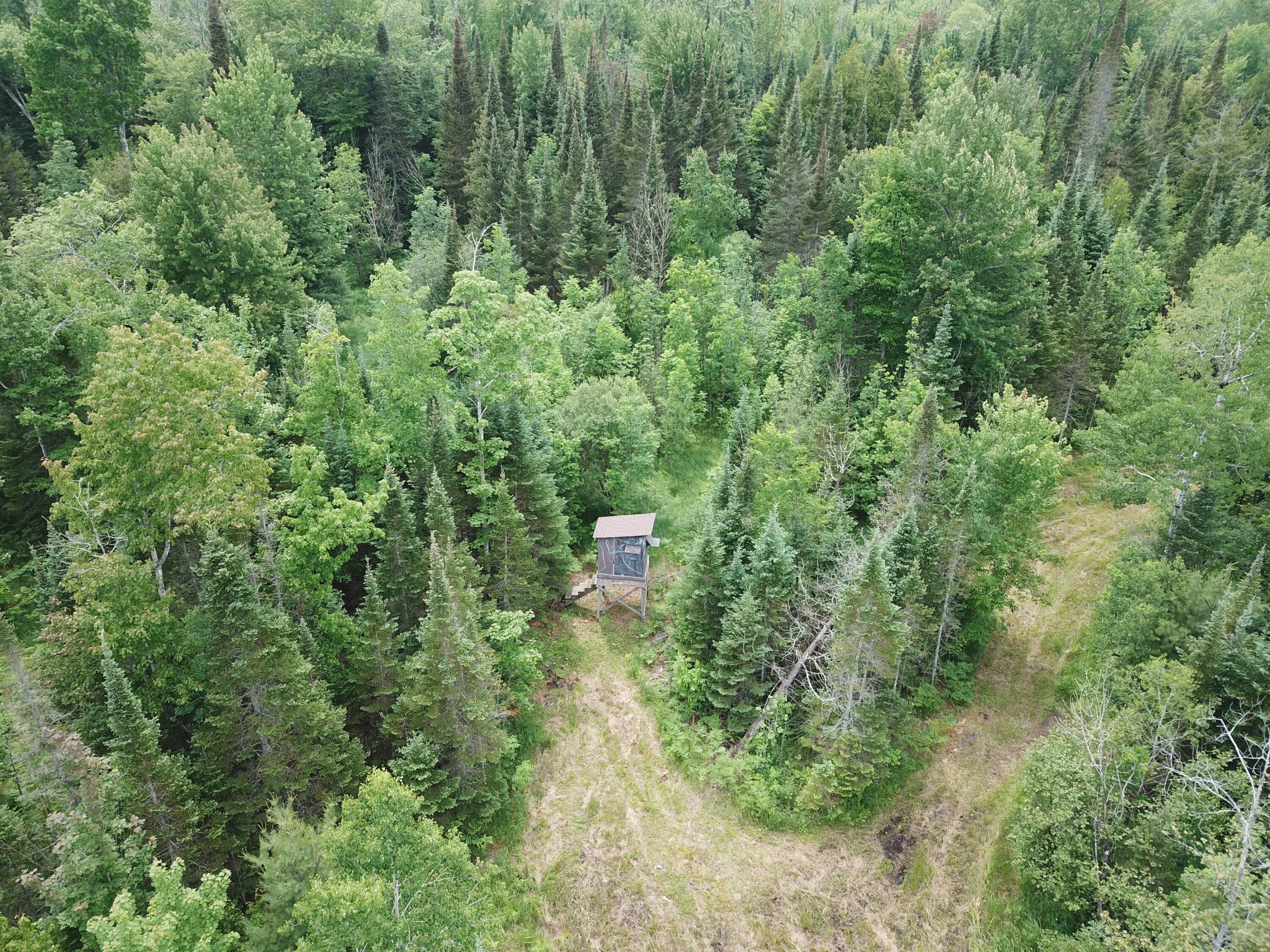 5030 Snider Road Brutus, MI 49716 - Photo 14 of 53 DJI_0010