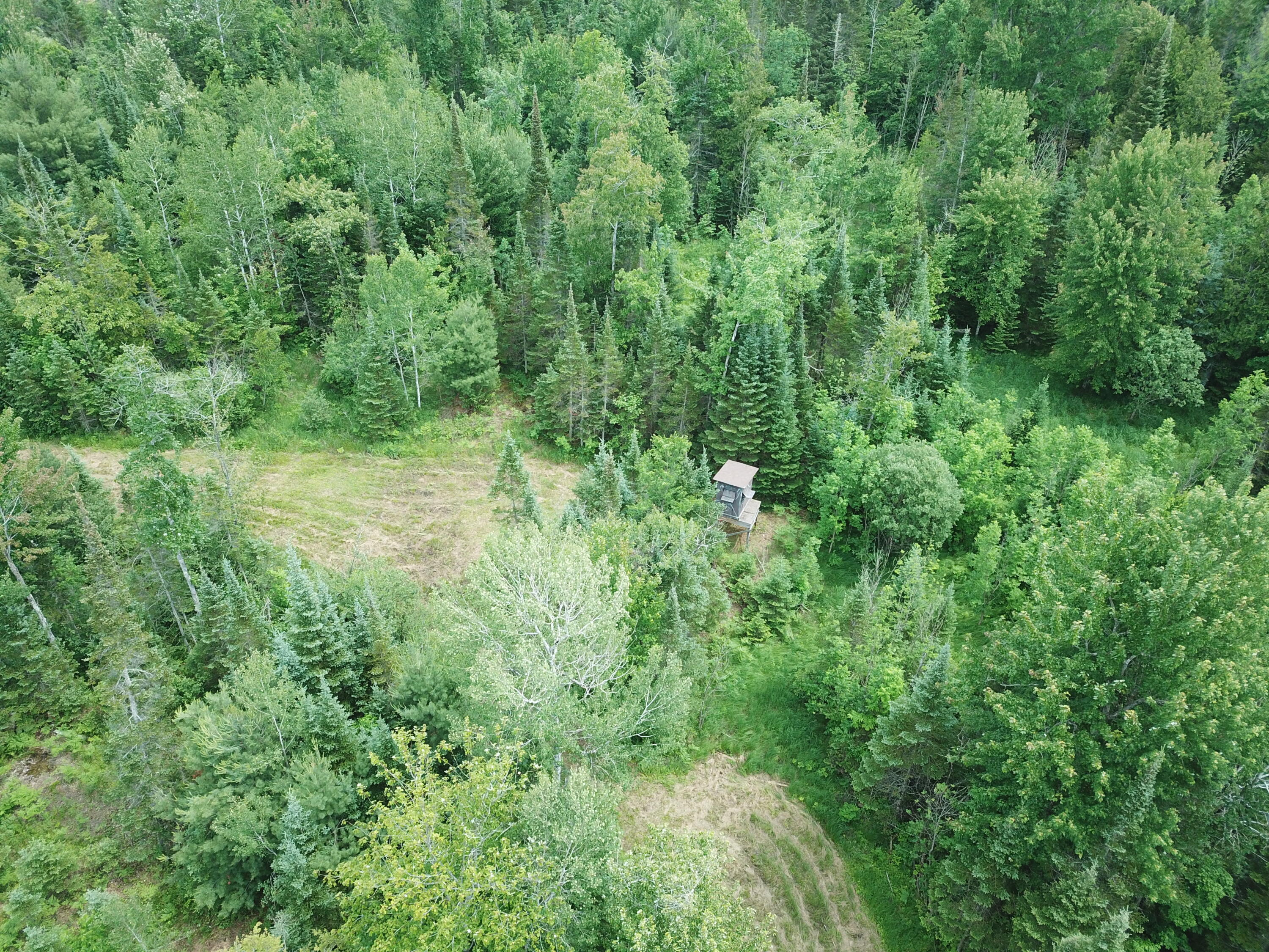 5030 Snider Road Brutus, MI 49716 - Photo 15 of 53 DJI_0013