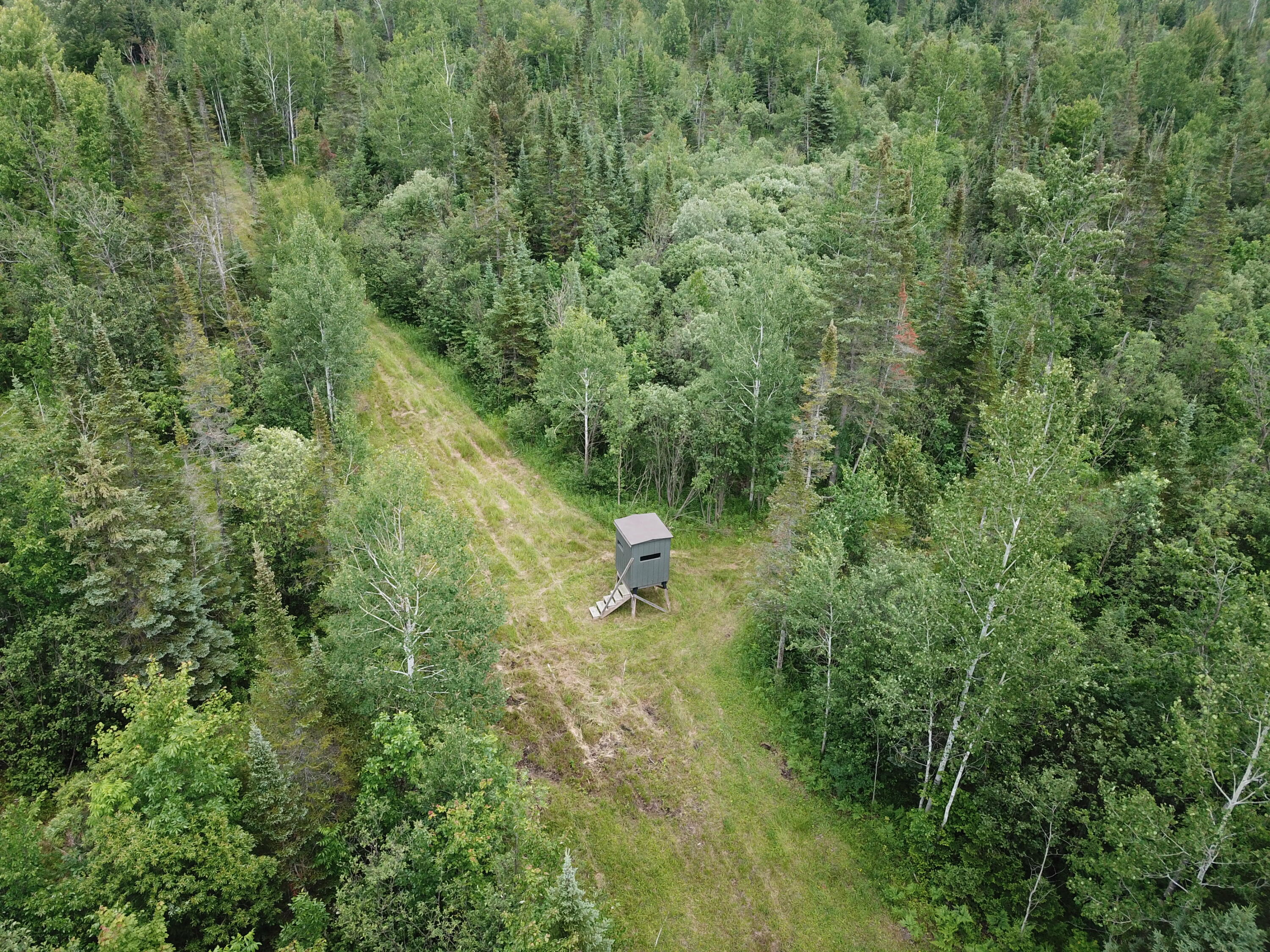 5030 Snider Road Brutus, MI 49716 - Photo 16 of 53 DJI_0016