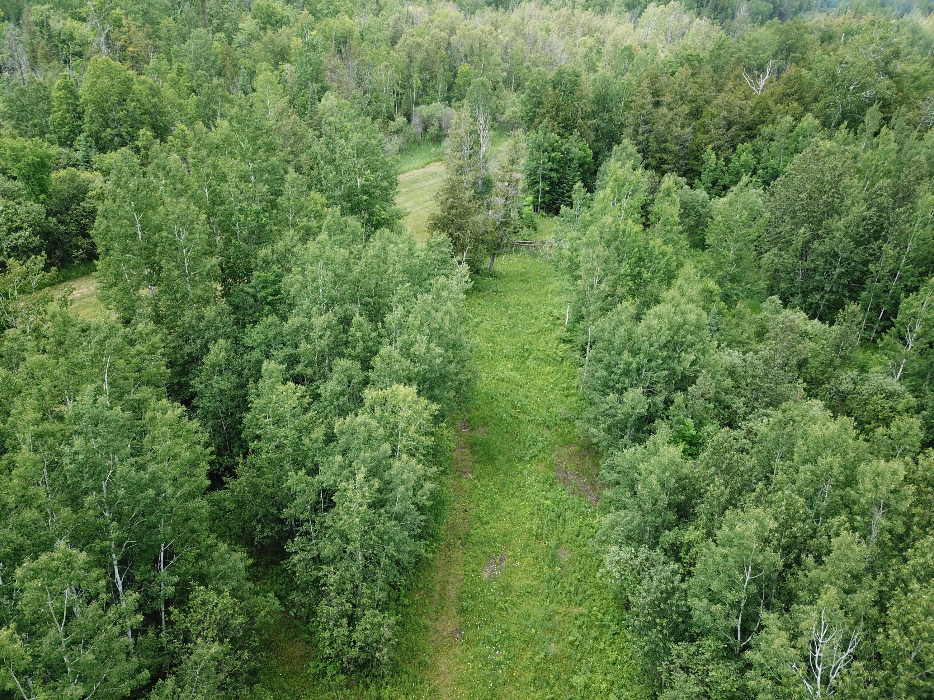 5030 Snider Road Brutus, MI 49716 - Photo 17 of 53 DJI_0022