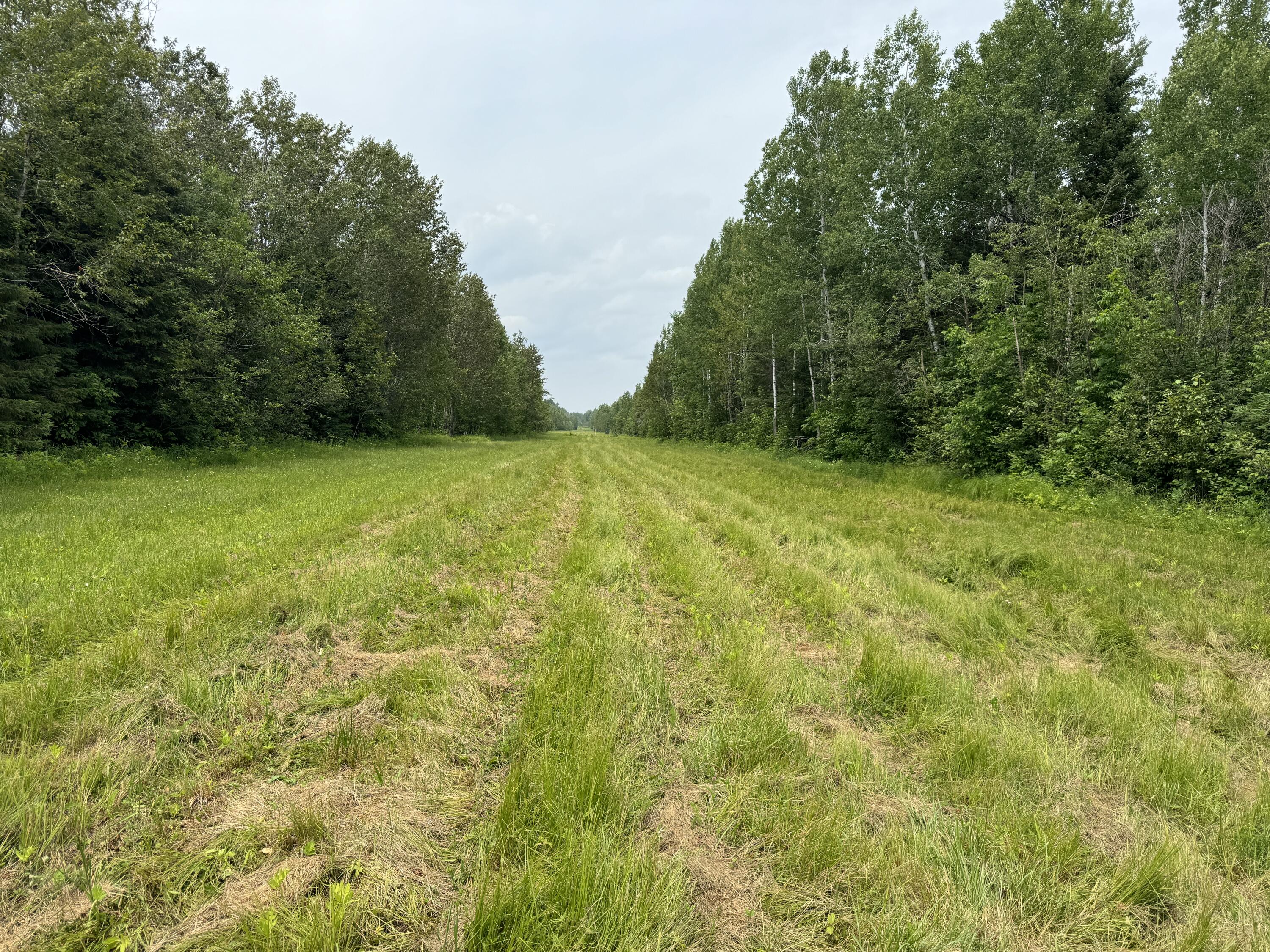 5030 Snider Road Brutus, MI 49716 - Photo 19 of 53 IMG_9651