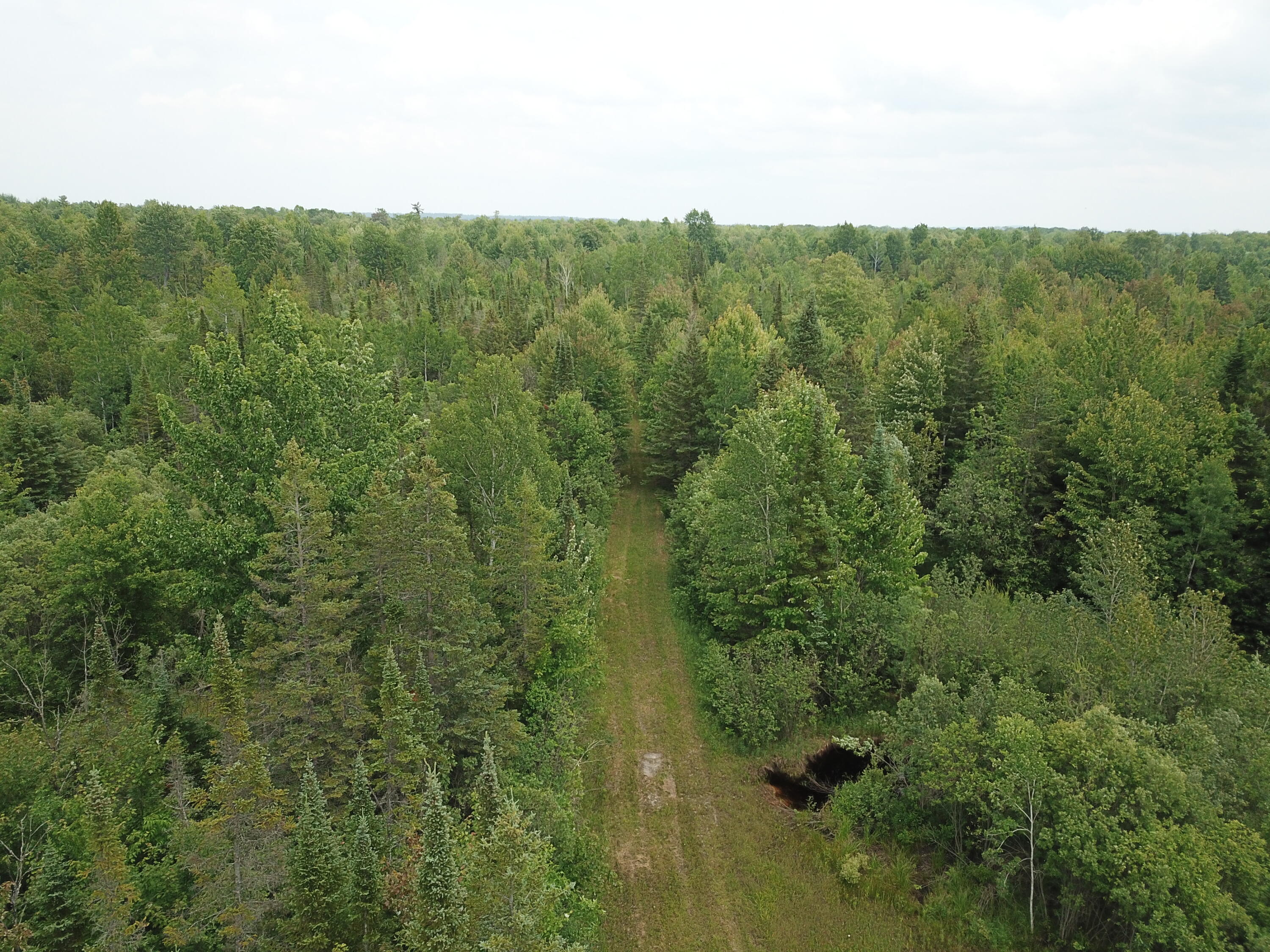 5030 Snider Road Brutus, MI 49716 - Photo 22 of 53 DJI_0004