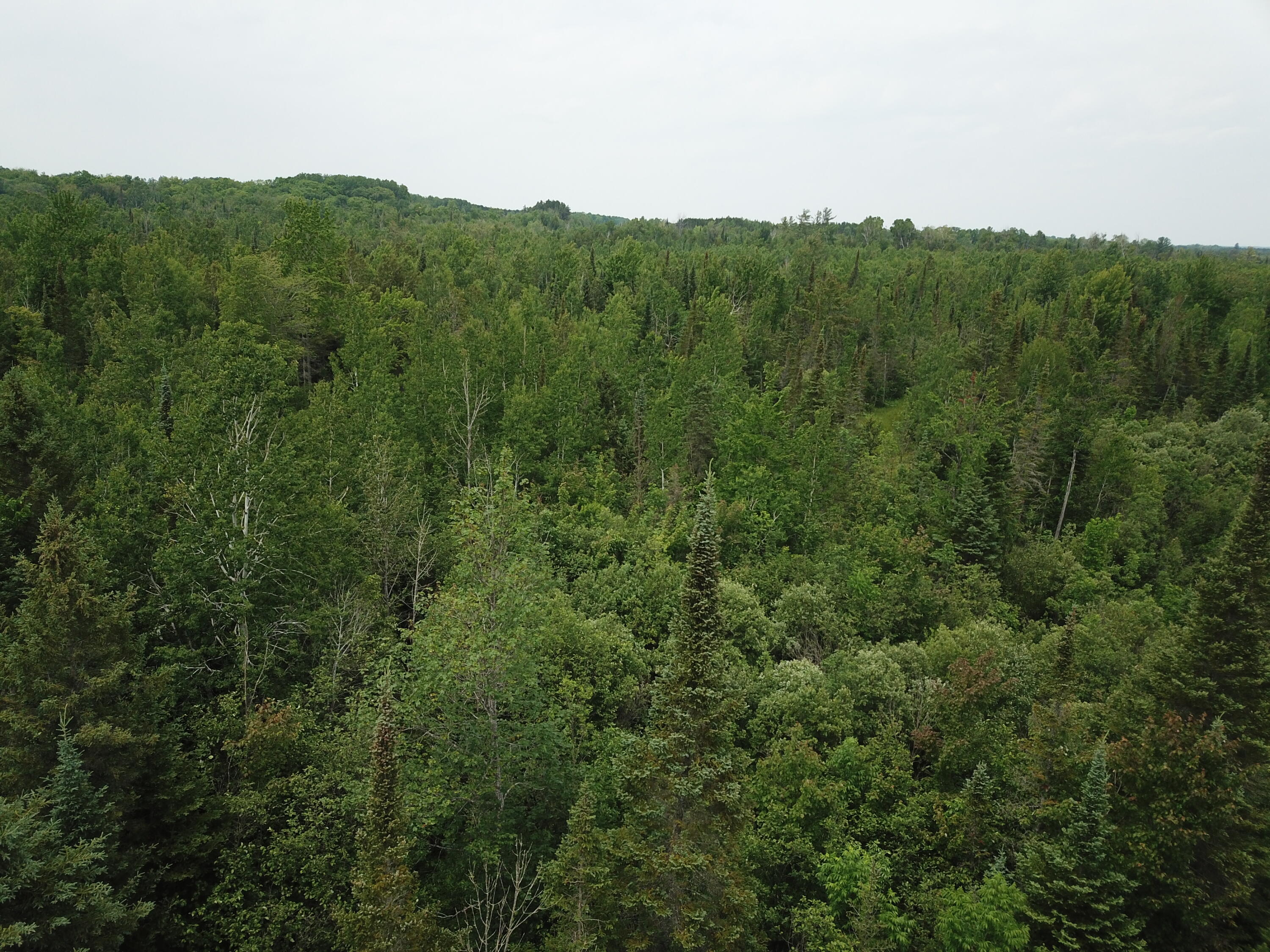 5030 Snider Road Brutus, MI 49716 - Photo 23 of 53 DJI_0005