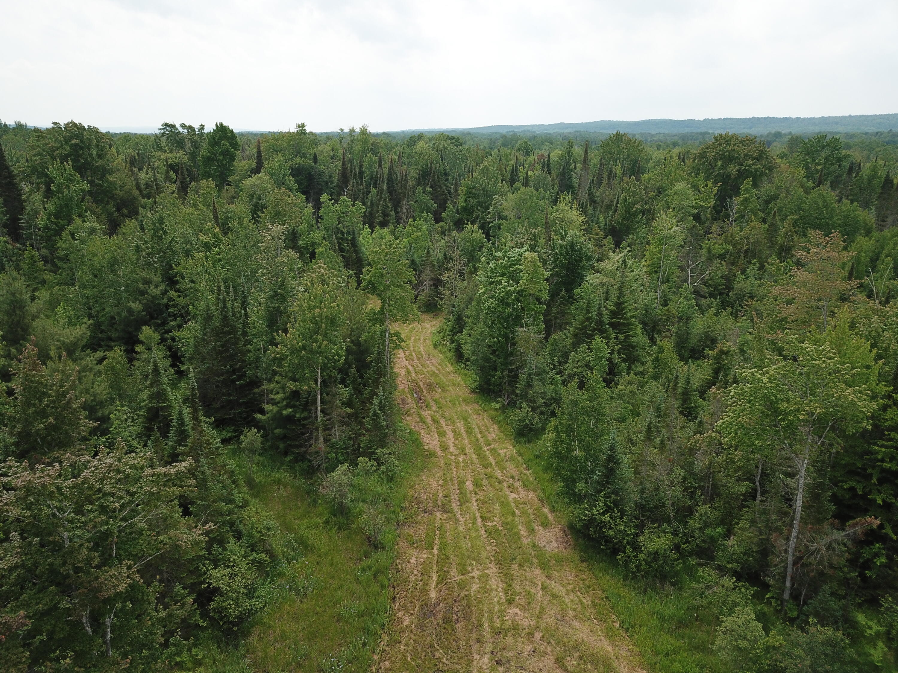 5030 Snider Road Brutus, MI 49716 - Photo 24 of 53 DJI_0009
