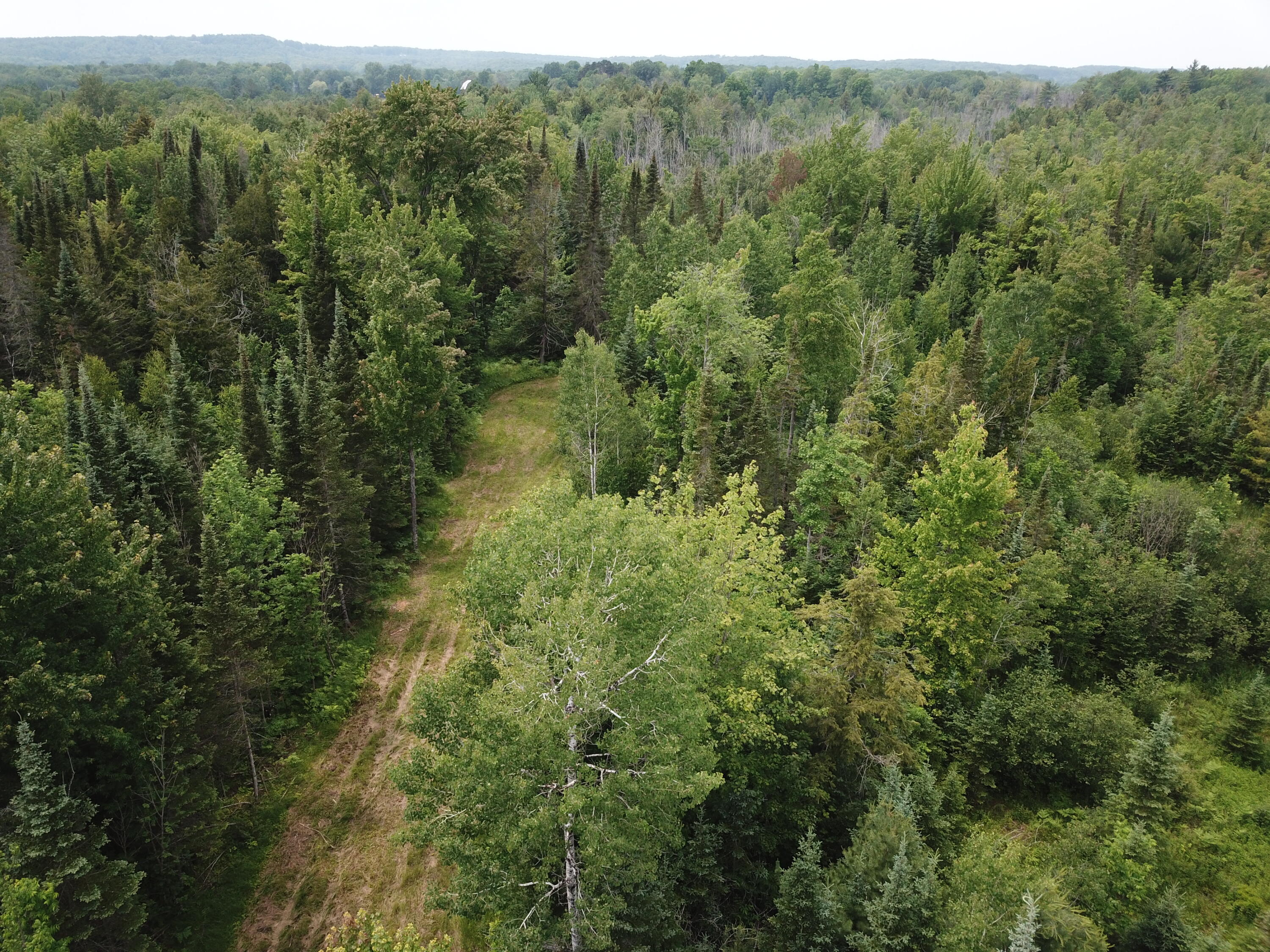 5030 Snider Road Brutus, MI 49716 - Photo 25 of 53 DJI_0011