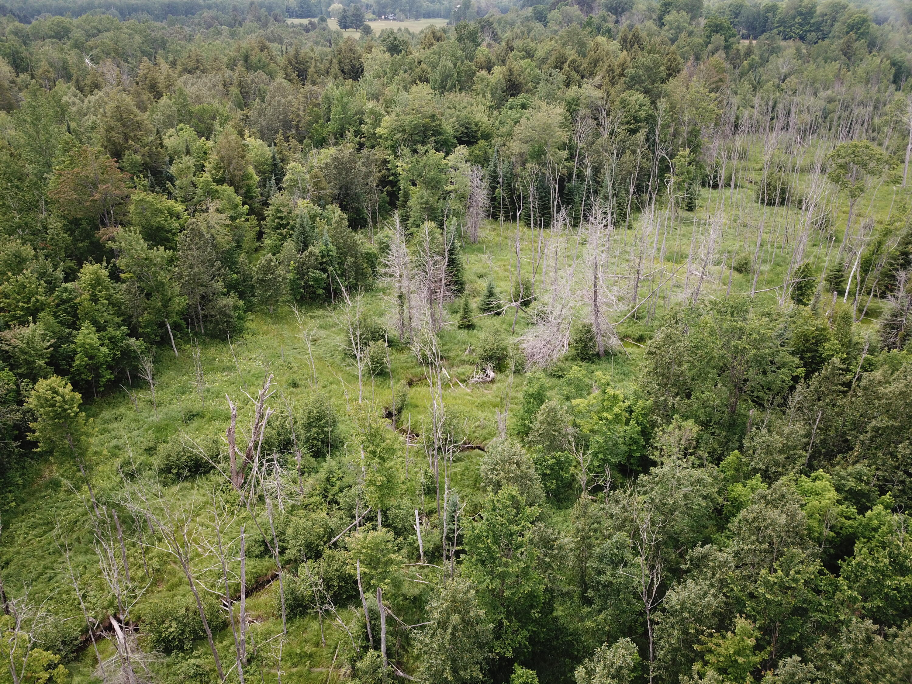 5030 Snider Road Brutus, MI 49716 - Photo 26 of 53 DJI_0012