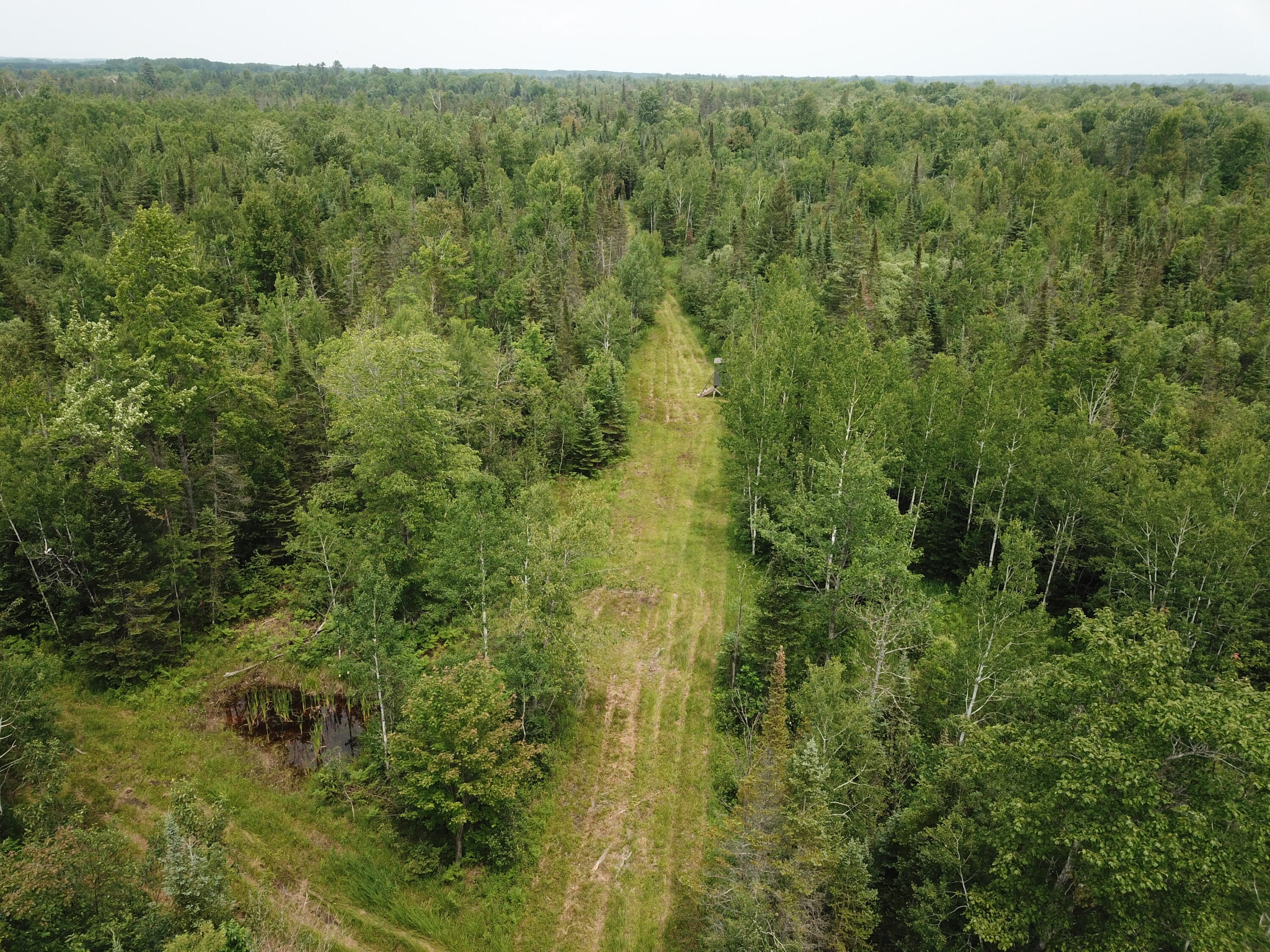 5030 Snider Road Brutus, MI 49716 - Photo 27 of 53 DJI_0014