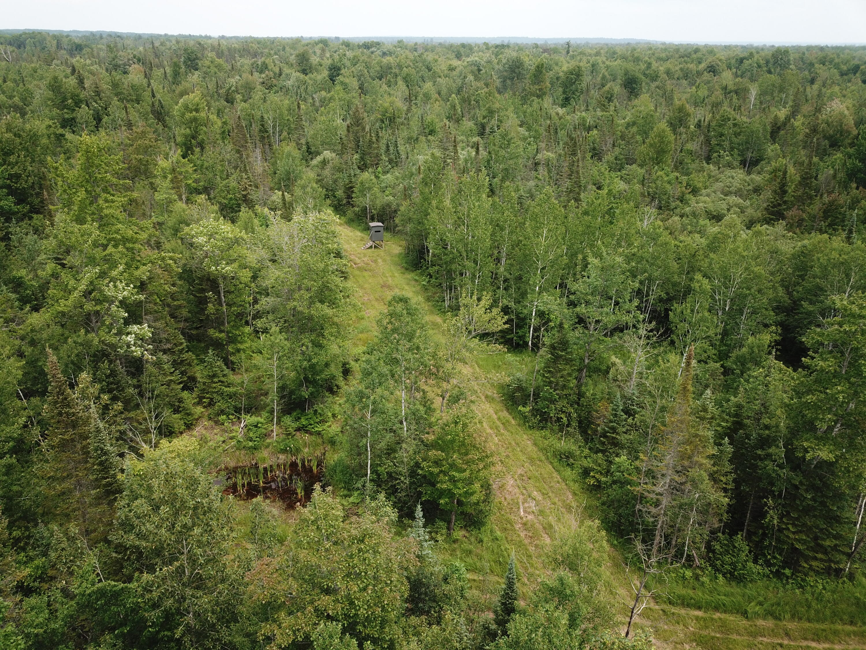 5030 Snider Road Brutus, MI 49716 - Photo 28 of 53 DJI_0015