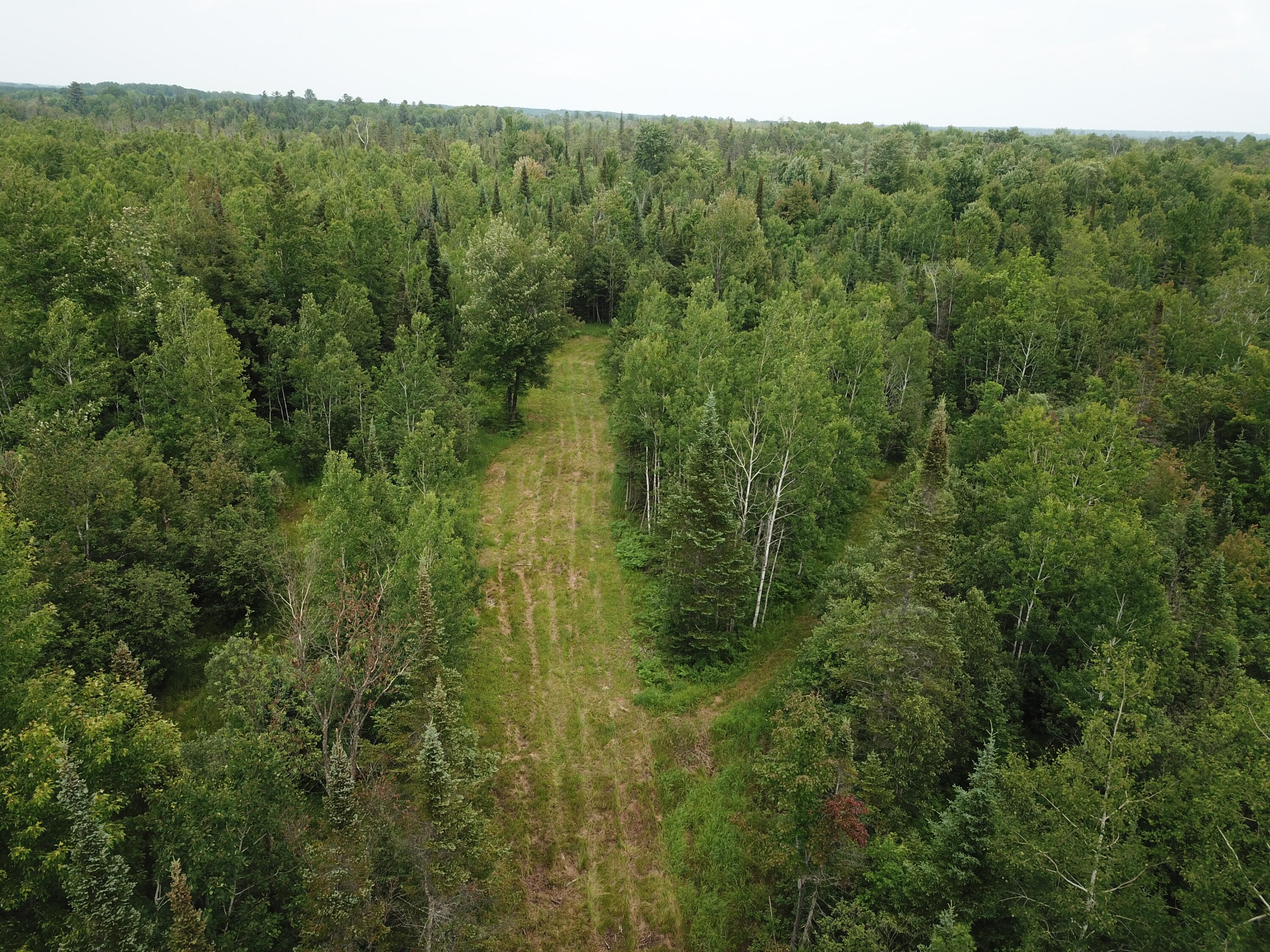 5030 Snider Road Brutus, MI 49716 - Photo 29 of 53 DJI_0017